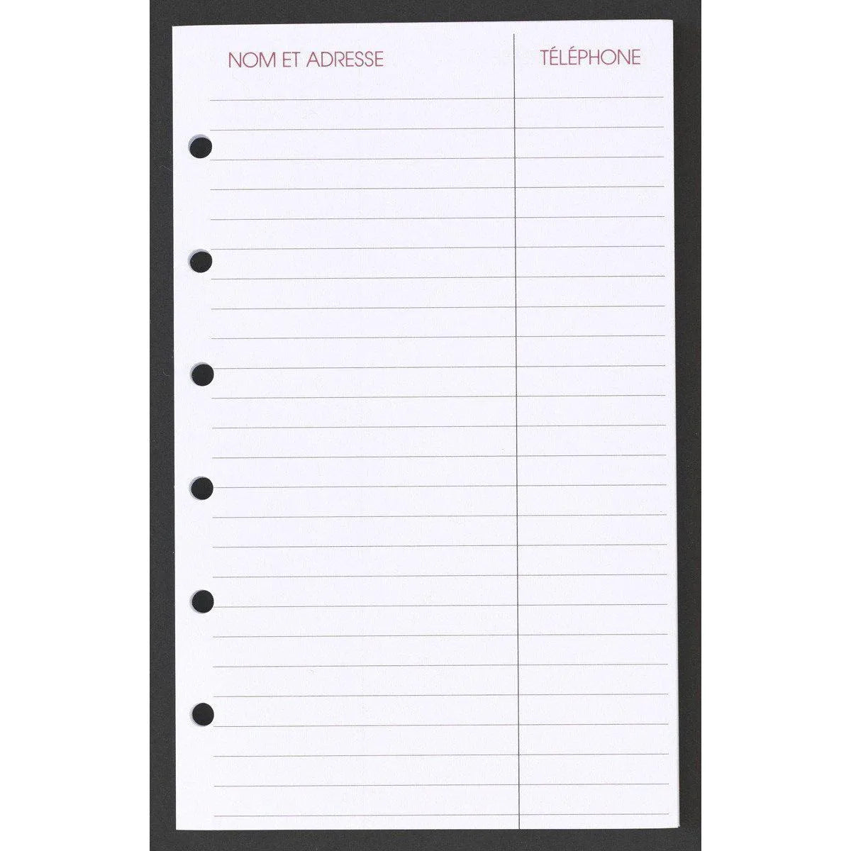 AGM Agenda Moderne Recharge Europe Perforé Feuilles Adresses Europe x26-Recharges Autres-Agenda Moderne-Papeterie du Dôme