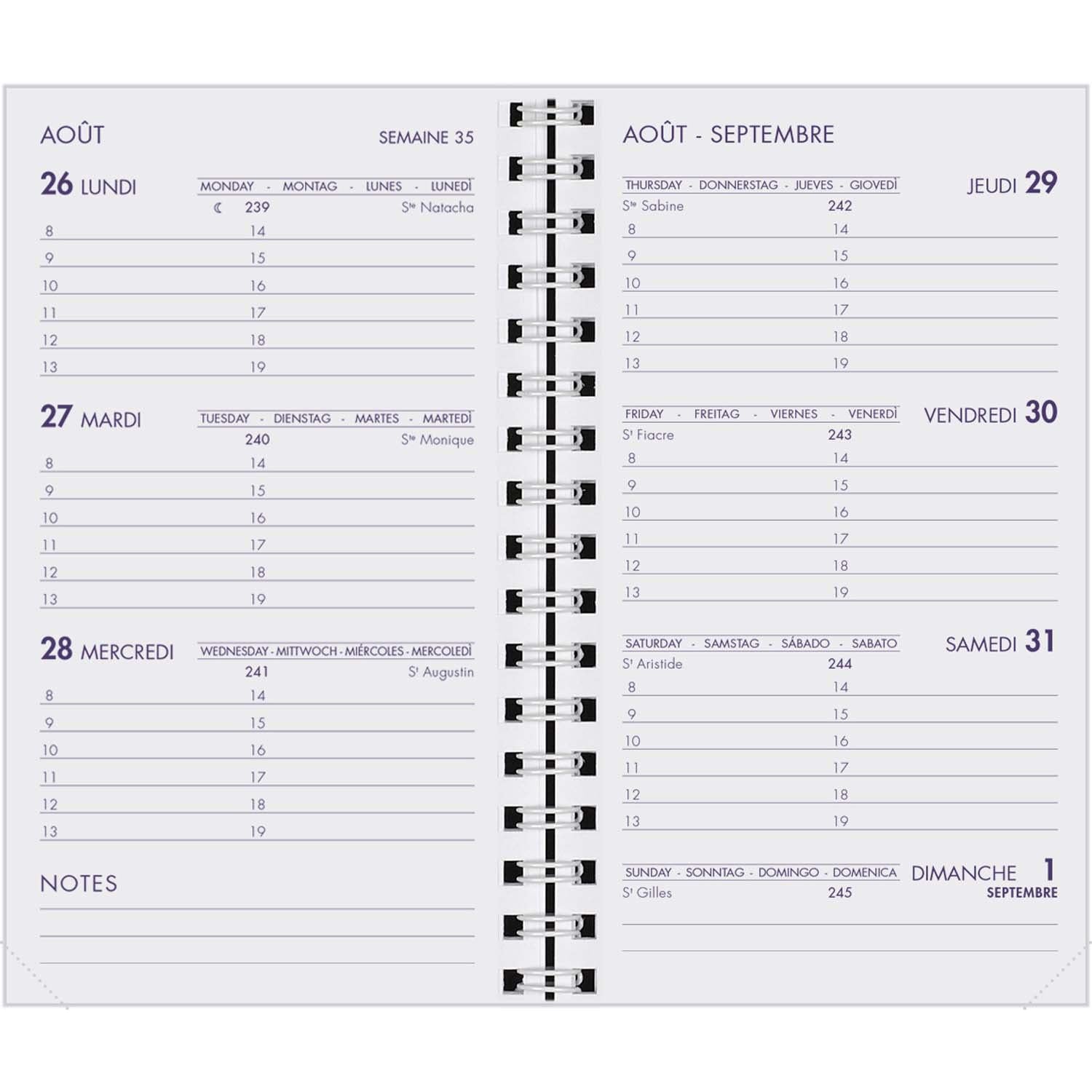 AGM Agenda Moderne Recharge Spiralée Hebdoplan - Semainier - Tranche Blanche-Recharge Agenda-Agenda Moderne-Papeterie du Dôme