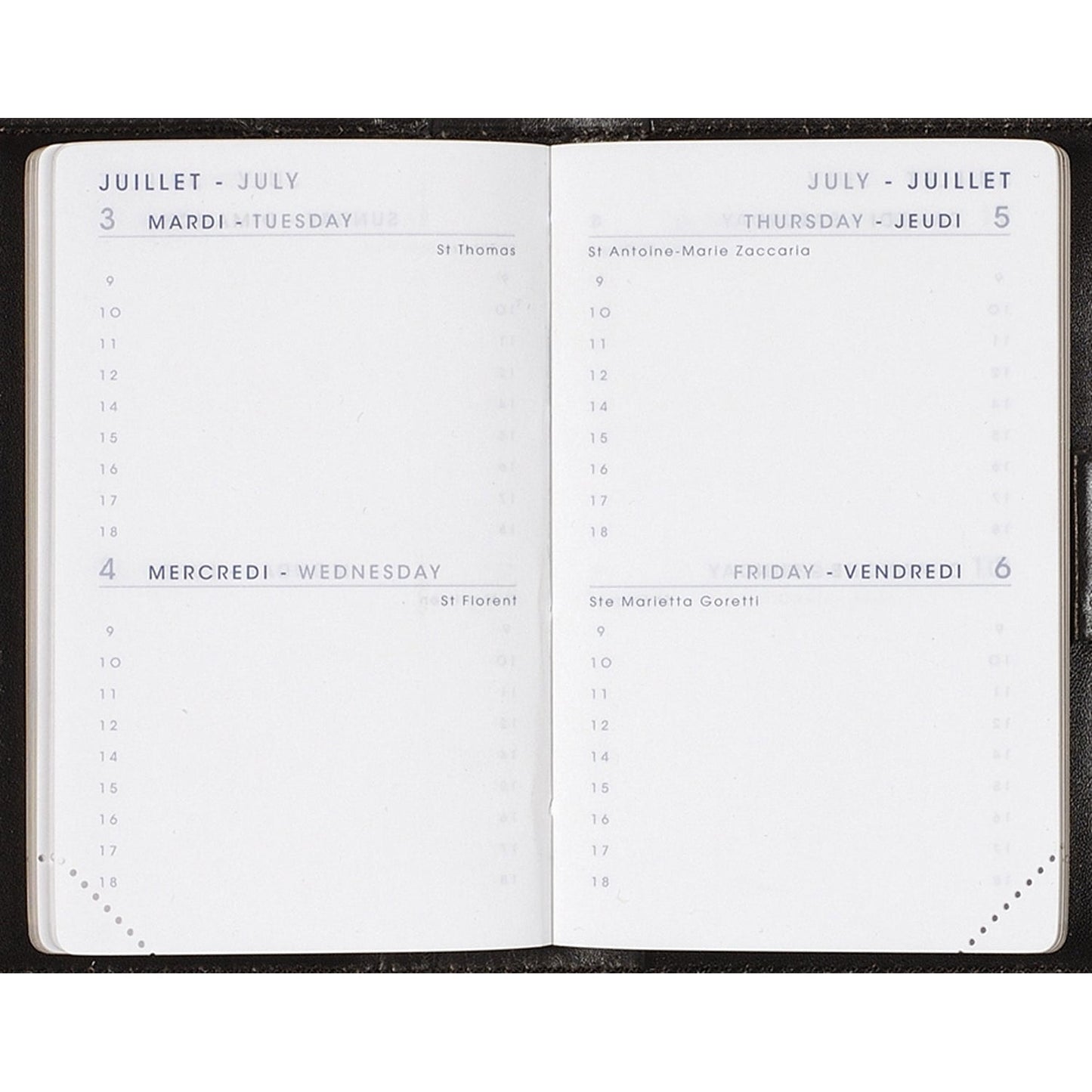 AM Agenda 7x10,5 Simili Iguana 2Jours par Page-Agenda-Agenda Moderne-2024-Couleur Aléatoire-Papeterie du Dôme