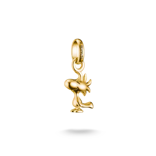 TSB Peanuts™ Charm Woodstock – Connect