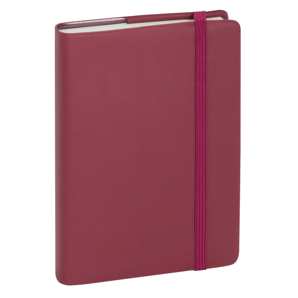 EXA Agenda Journalier Plastique 90x146-Agenda-Exacompta-Papeterie du Dôme