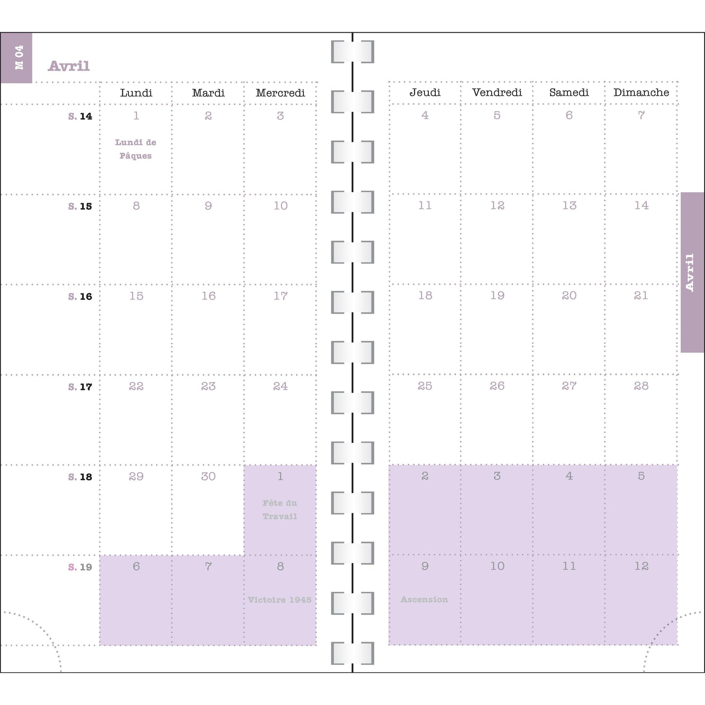 EXA Agenda SAS Semainier Lady 16S Color Design-Agenda-Exacompta-Papeterie du Dôme
