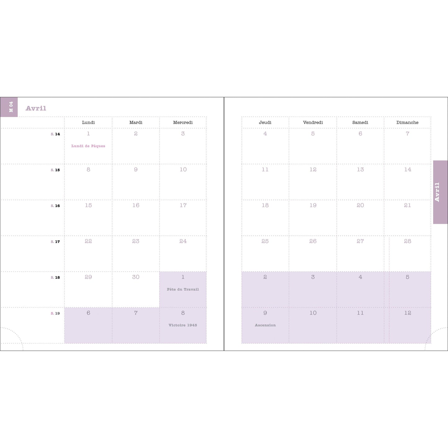 EXA Agenda SAS Semainier Lady 18S Color Design-Agenda-Exacompta-Papeterie du Dôme