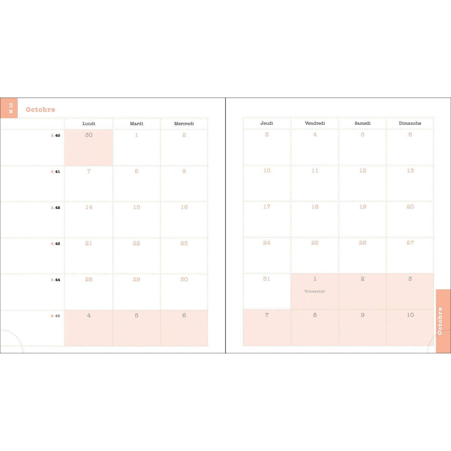 EXA Agenda SAS Semainier Lady 18S Color Design-Agenda-Exacompta-Papeterie du Dôme