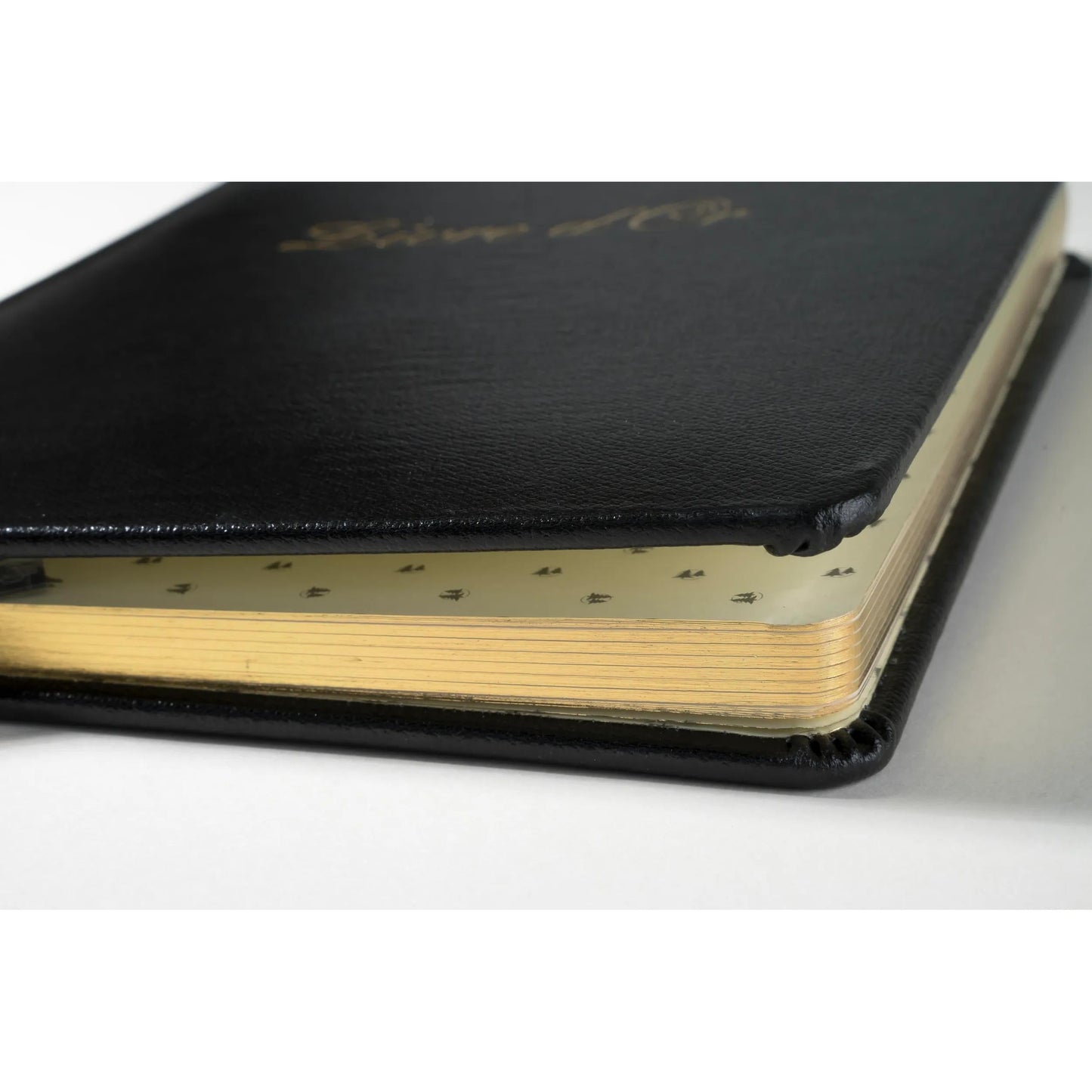 EXA Livre d'Or Alpille-Livre d'Or-Exacompta-Papeterie du Dôme