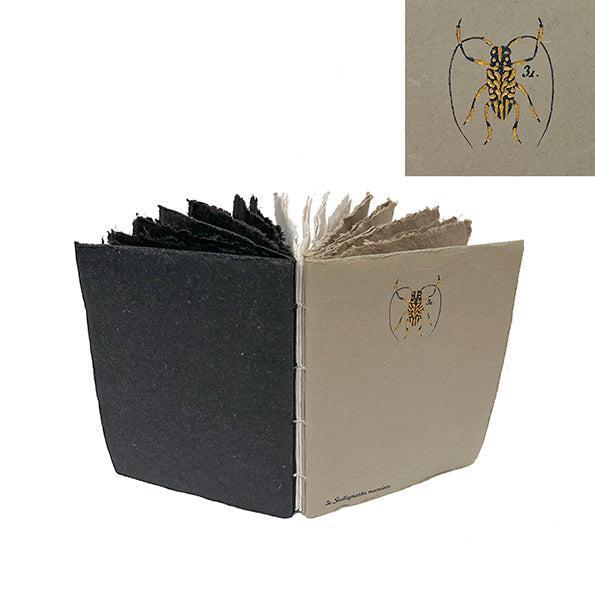 LML Liasse Ento-Carnet-Lamali-Coléoptère-Papeterie du Dôme