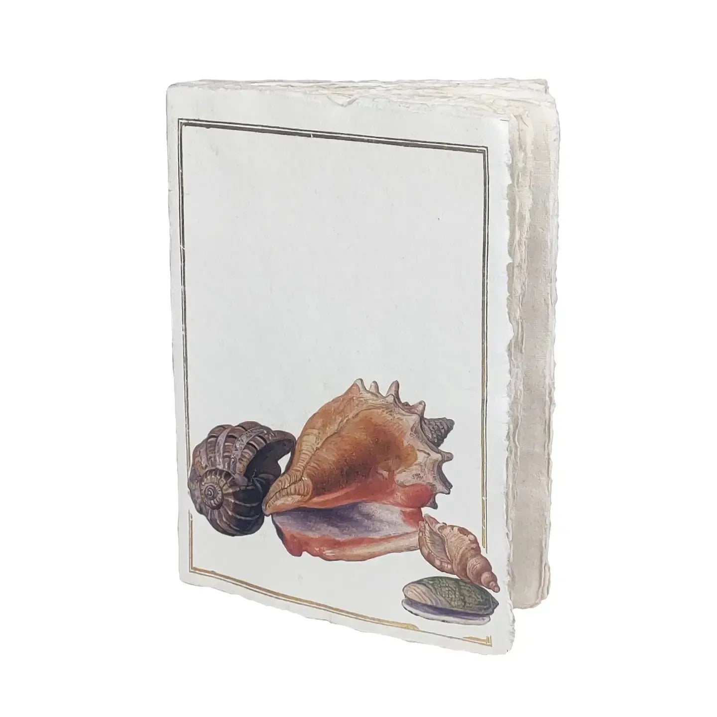 PGM Carnet A5 Coquillage Parchemin-Carnet-Epigr'AM-Papeterie du Dôme