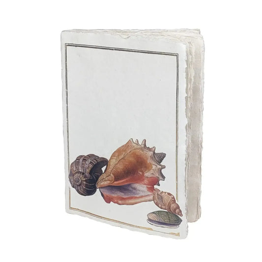 PGM Carnet A5 Coquillage Parchemin-Carnet-Epigr'AM-Papeterie du Dôme