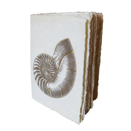 PGM Carnet A5 Nautile Parchemin-Carnet-Epigr'AM-Papeterie du Dôme