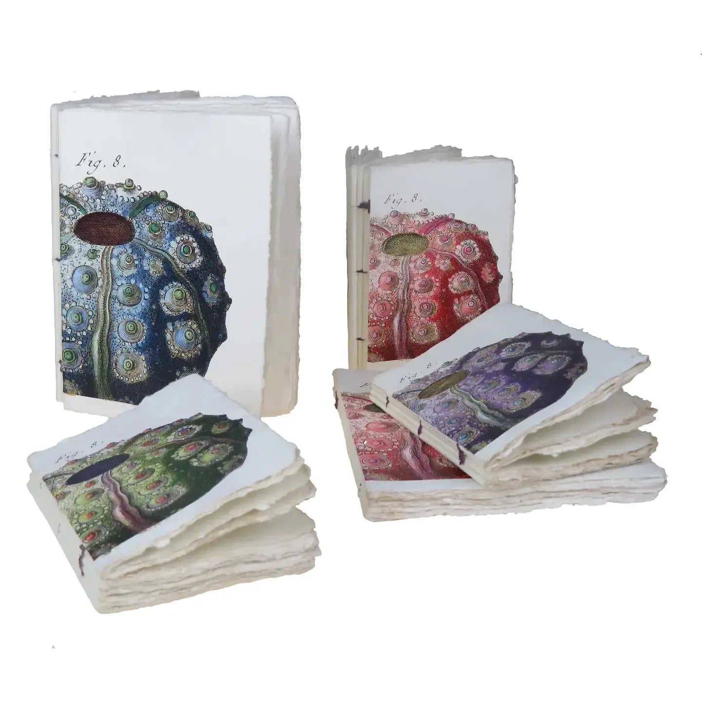 PGM Carnet A5 Oursin Parchemin-Carnet-Epigr'AM-Papeterie du Dôme