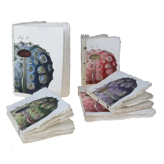 PGM Carnet A5 Oursin Parchemin-Carnet-Epigr'AM-Papeterie du Dôme