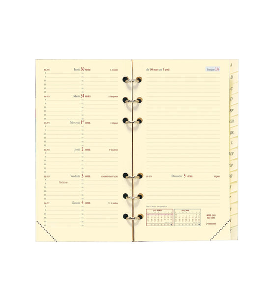 QVD Recharge Agenda Timer 17 Agenda et Notes-Recharge Agenda-Quo Vadis-Papeterie du Dôme