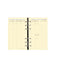 QVD Recharge Agenda Timer 17 Prestige SAD