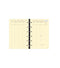 QVD Recharge Timer 14 Prestige Vertical SAD