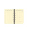QVD Recharge Timer 14 Prestige Vertical SAD