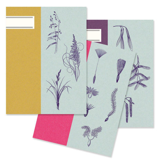 BAB Set 3 Chemises Assorties-Chemise-Alibabette Editions-Papeterie du Dôme