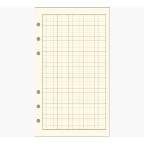 EXA Recharge Exatime 17 Étroit Quadrillé 5x5 Ivoire-Recharge-Exacompta-Papeterie du Dôme