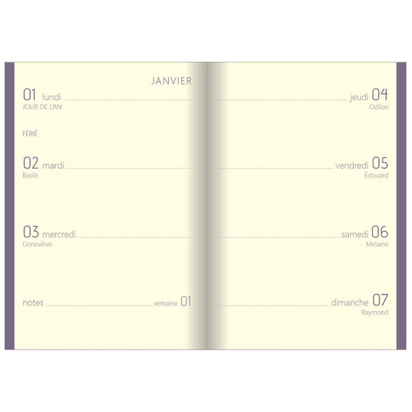 OBE Agenda Colornote Semainier 10-Agenda-Oberthur-Papeterie du Dôme
