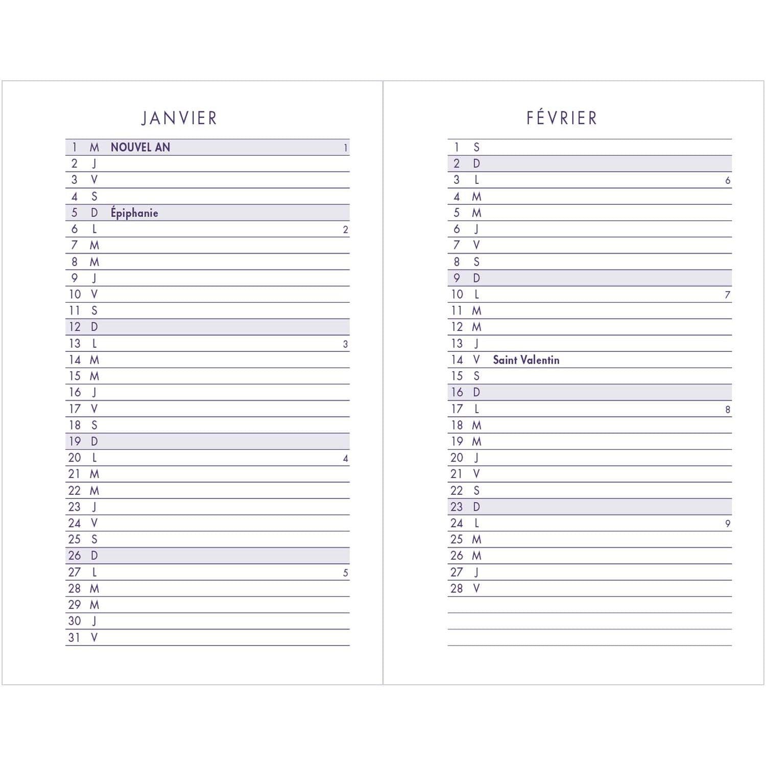 AGM Agenda Moderne 7x10,5 Simili Iguana 2Jours par Page-Agenda-Agenda Moderne-Papeterie du Dôme