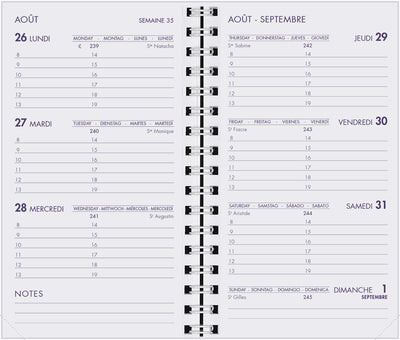 AGM Agenda Moderne Recharge Spiralée Hebdoplan - Semainier - Tranche Blanche-Recharge Agenda-Agenda Moderne-Papeterie du Dôme