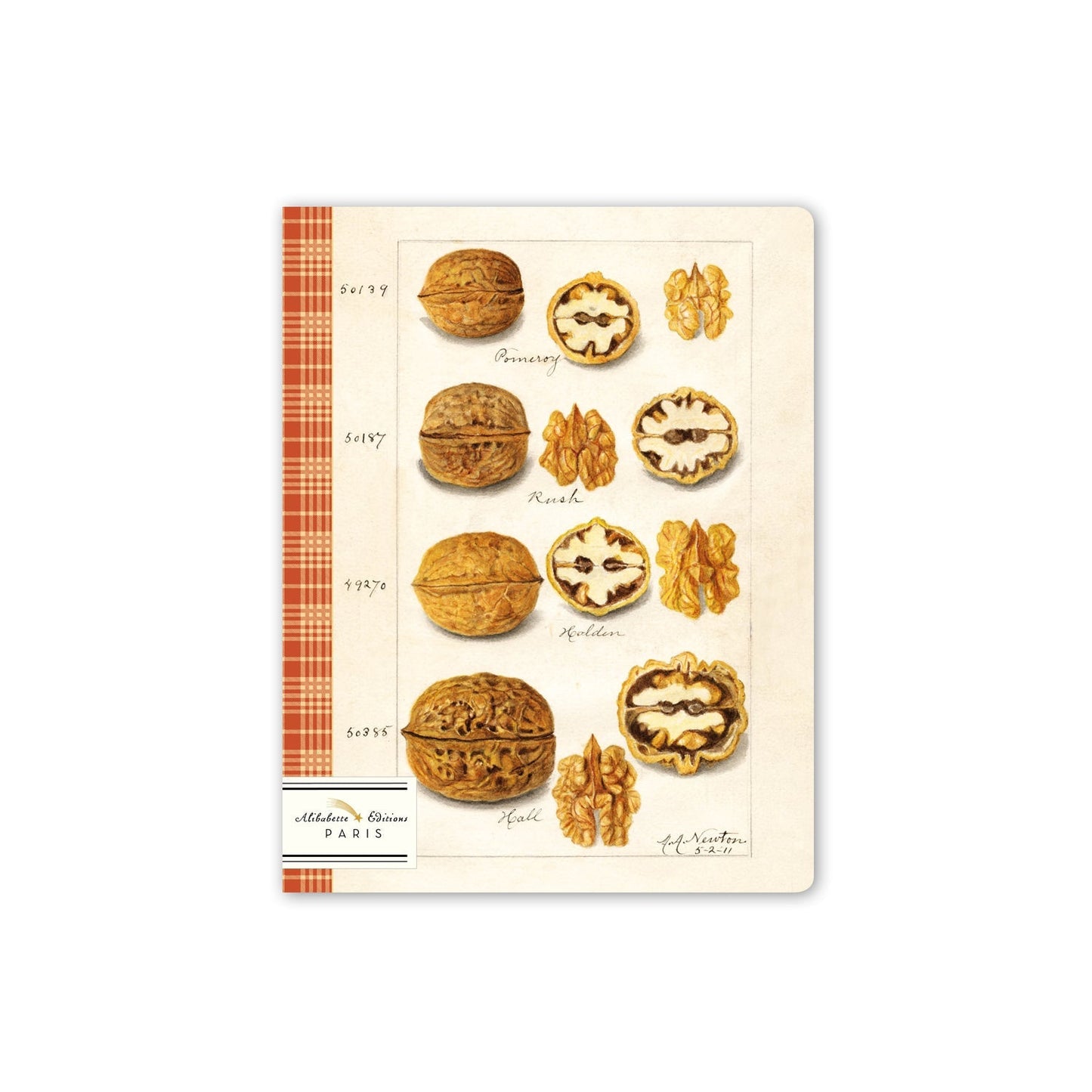 BAB Cahier Ligné 17x22-Carnet-Alibabette Editions-Papeterie du Dôme