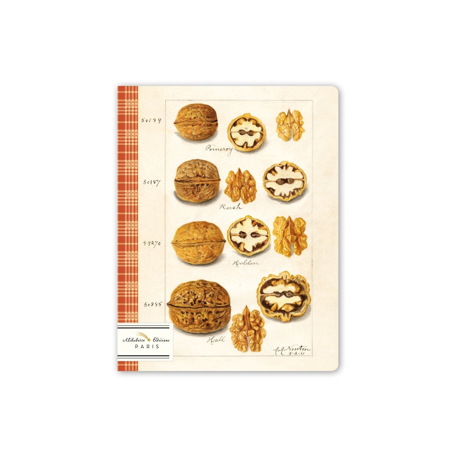 BAB Cahier Ligné 17x22-Carnet-Alibabette Editions-Papeterie du Dôme