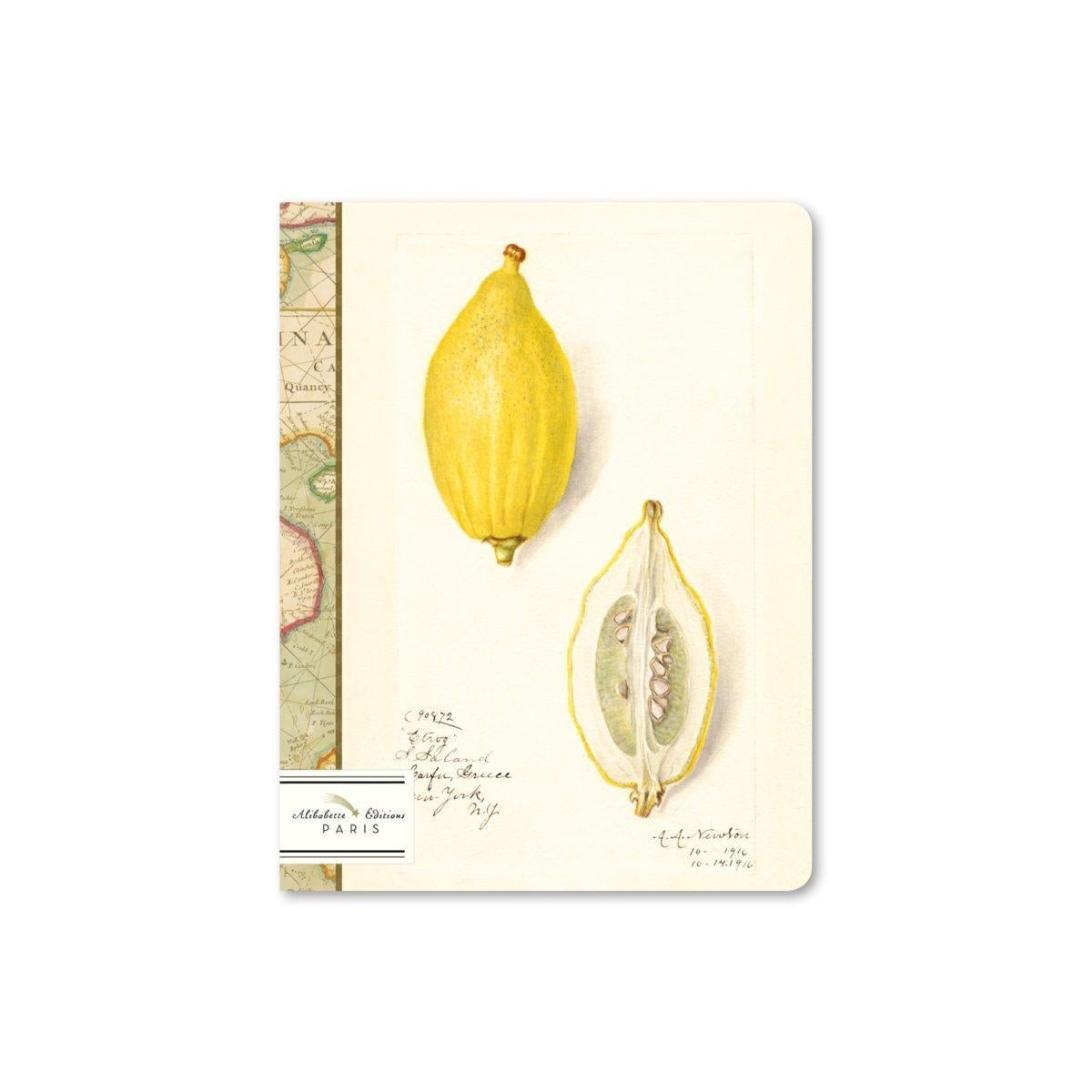 BAB Cahier Ligné 17x22-Carnet-Alibabette Editions-Papeterie du Dôme