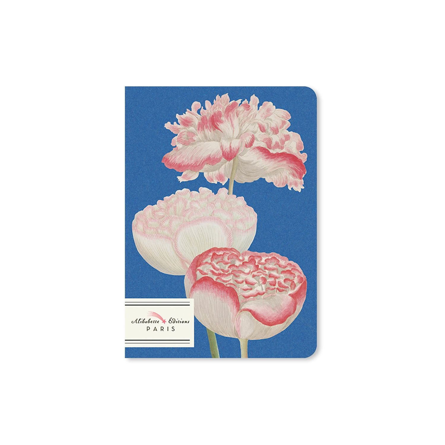 BAB Carnet Ligné A6-Carnet-Alibabette Editions-Papeterie du Dôme