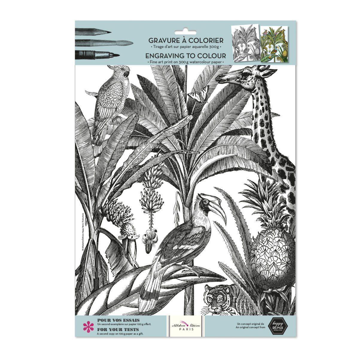 BAB Gravure à Colorier-Coloriage-Alibabette Editions-Papeterie du Dôme