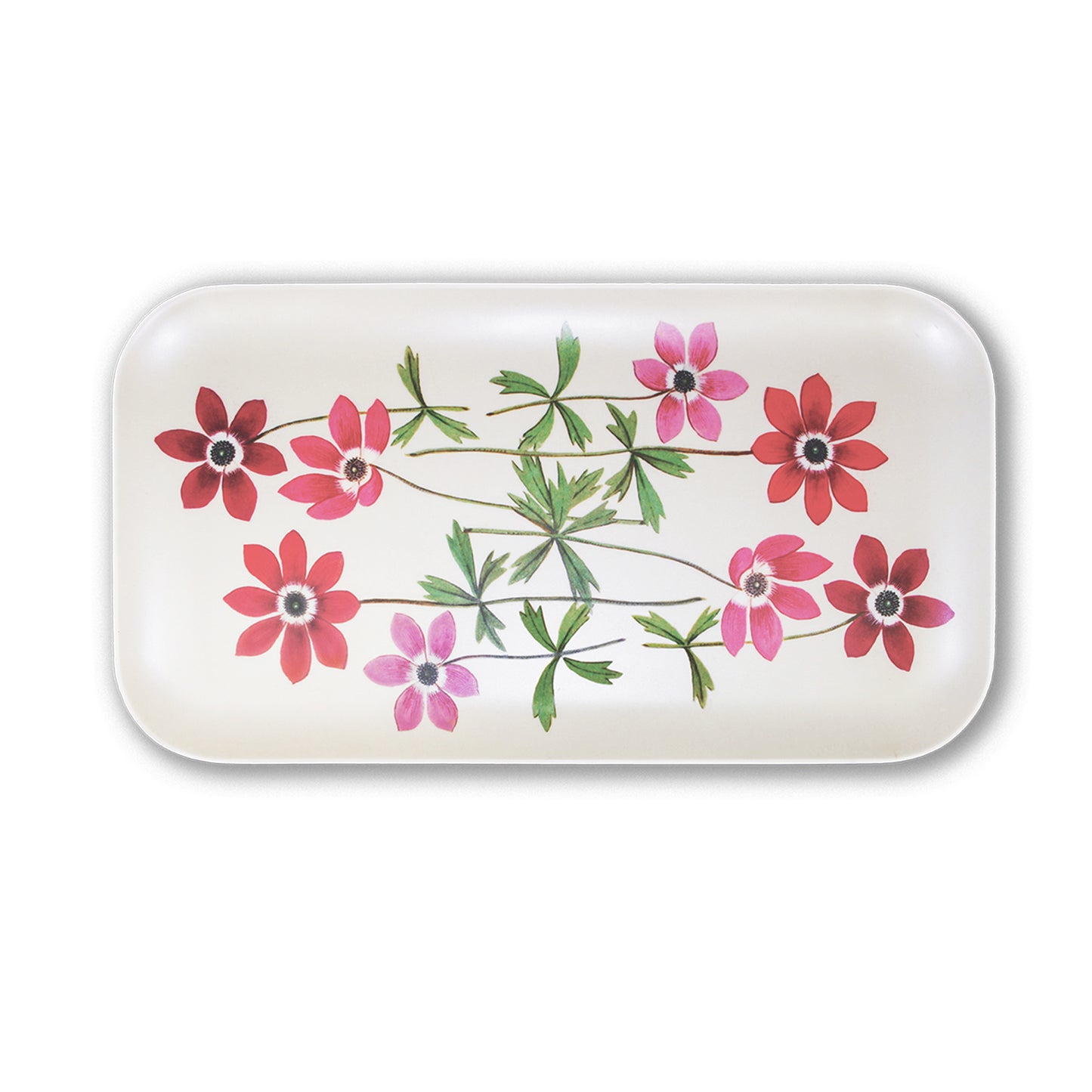 BAB Plateau Moyen-Plateaux-Alibabette Editions-Papeterie du Dôme