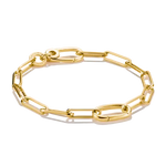 TSB Bracelet Charm Paperclip Connect Link doré