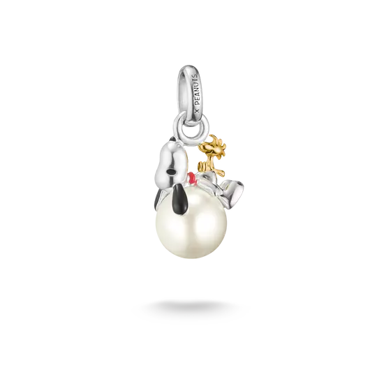 TSB Peanuts™ Charm Snoopy avec Woodstock sur perle – Connect