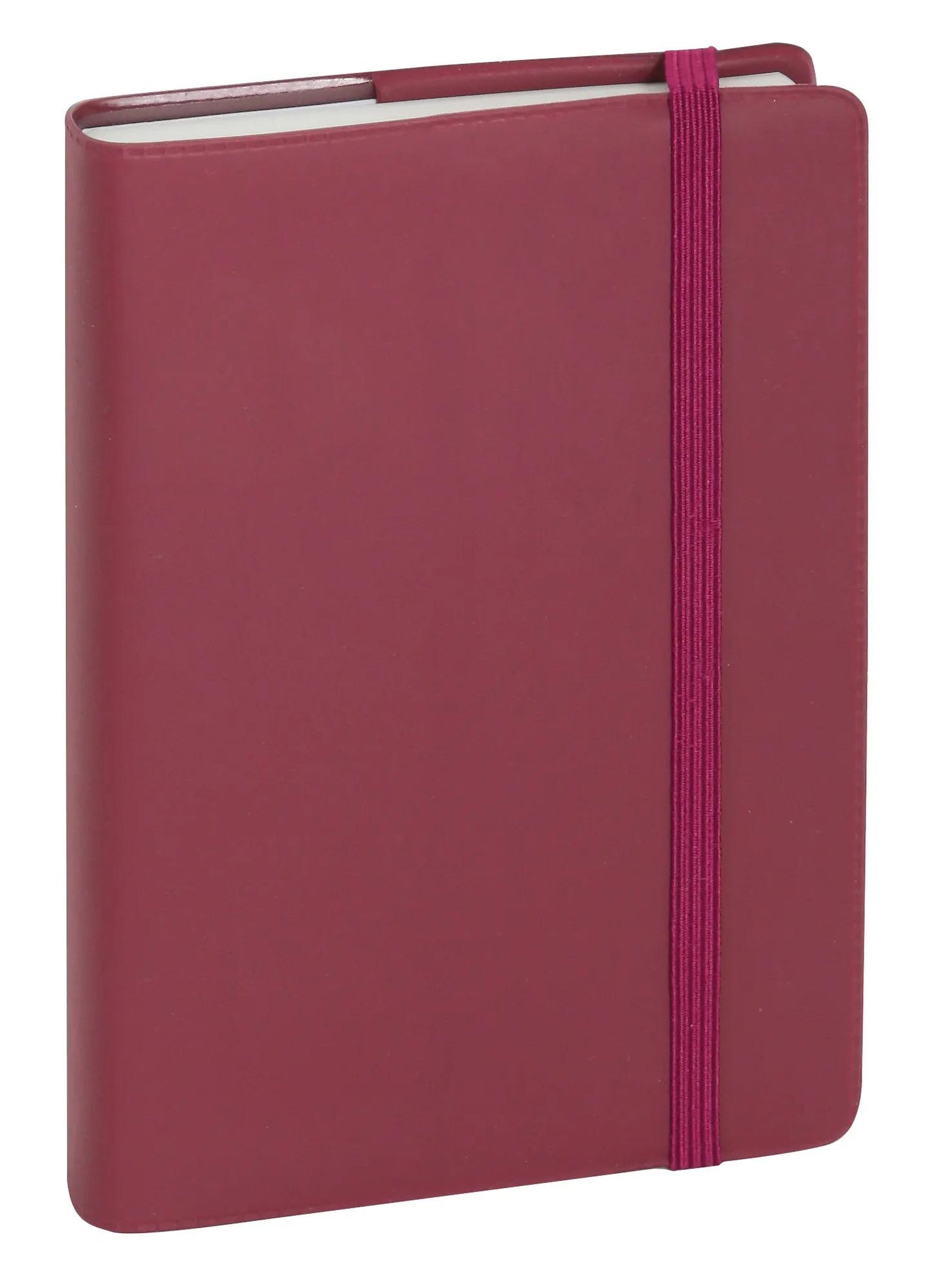 EXA Agenda Journalier Plastique 90x146-Agenda-Exacompta-Papeterie du Dôme