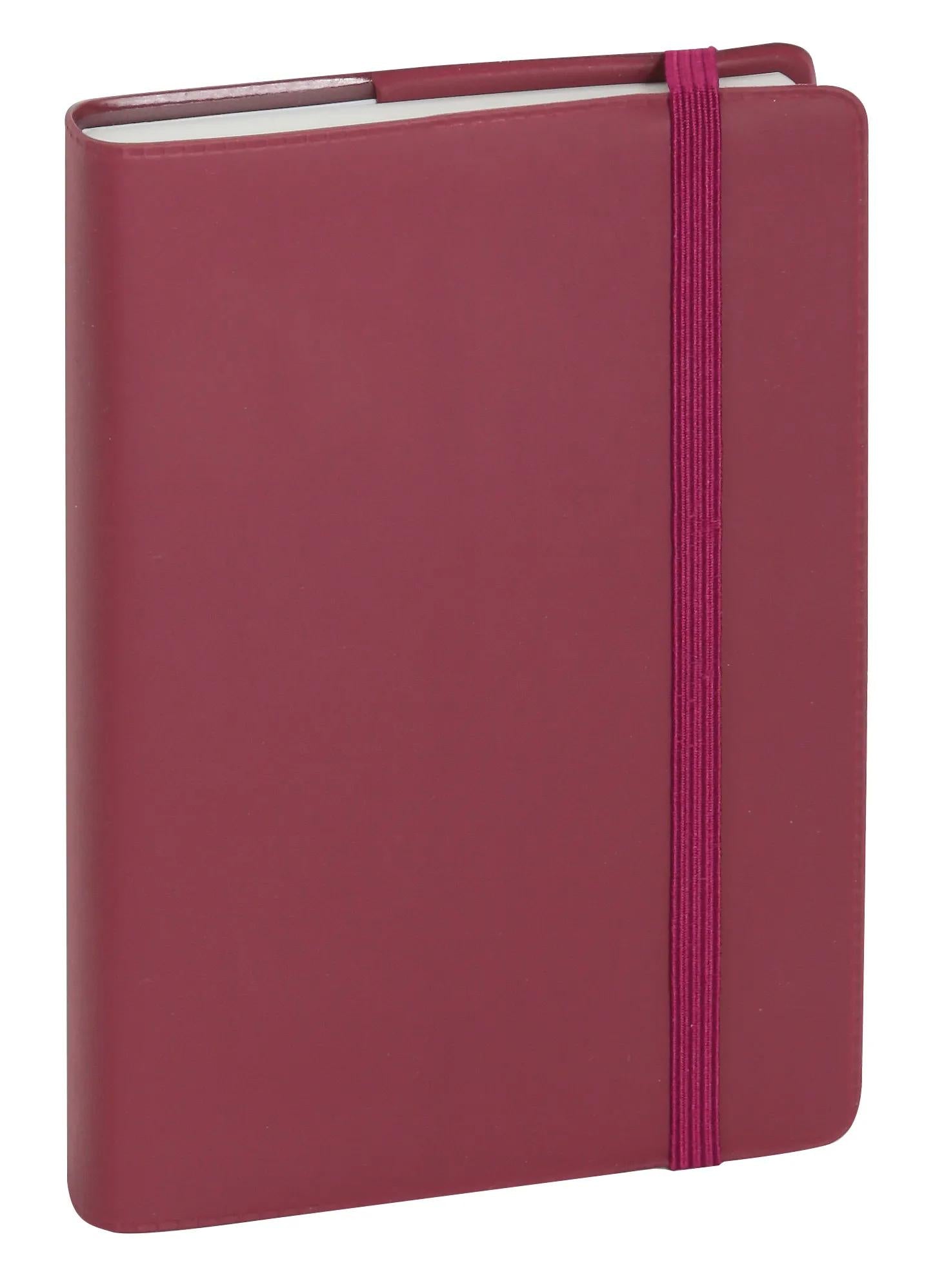 EXA Agenda Journalier Plastique 90x146-Agenda-Exacompta-Papeterie du Dôme