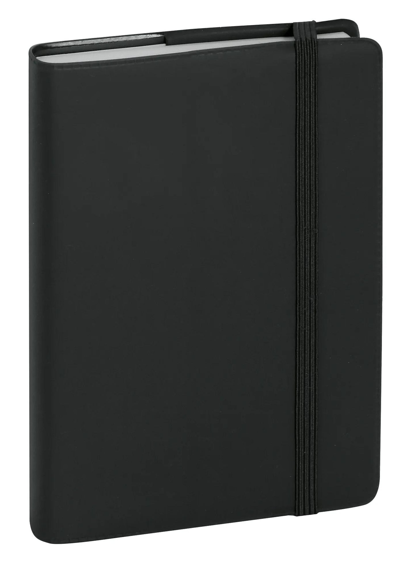 EXA Agenda Journalier Plastique 90x146-Agenda-Exacompta-Papeterie du Dôme