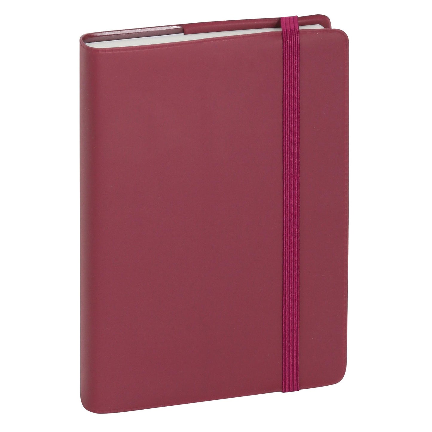 EXA Agenda Journalier Quadrillé 85x130-Agenda-Exacompta-Papeterie du Dôme