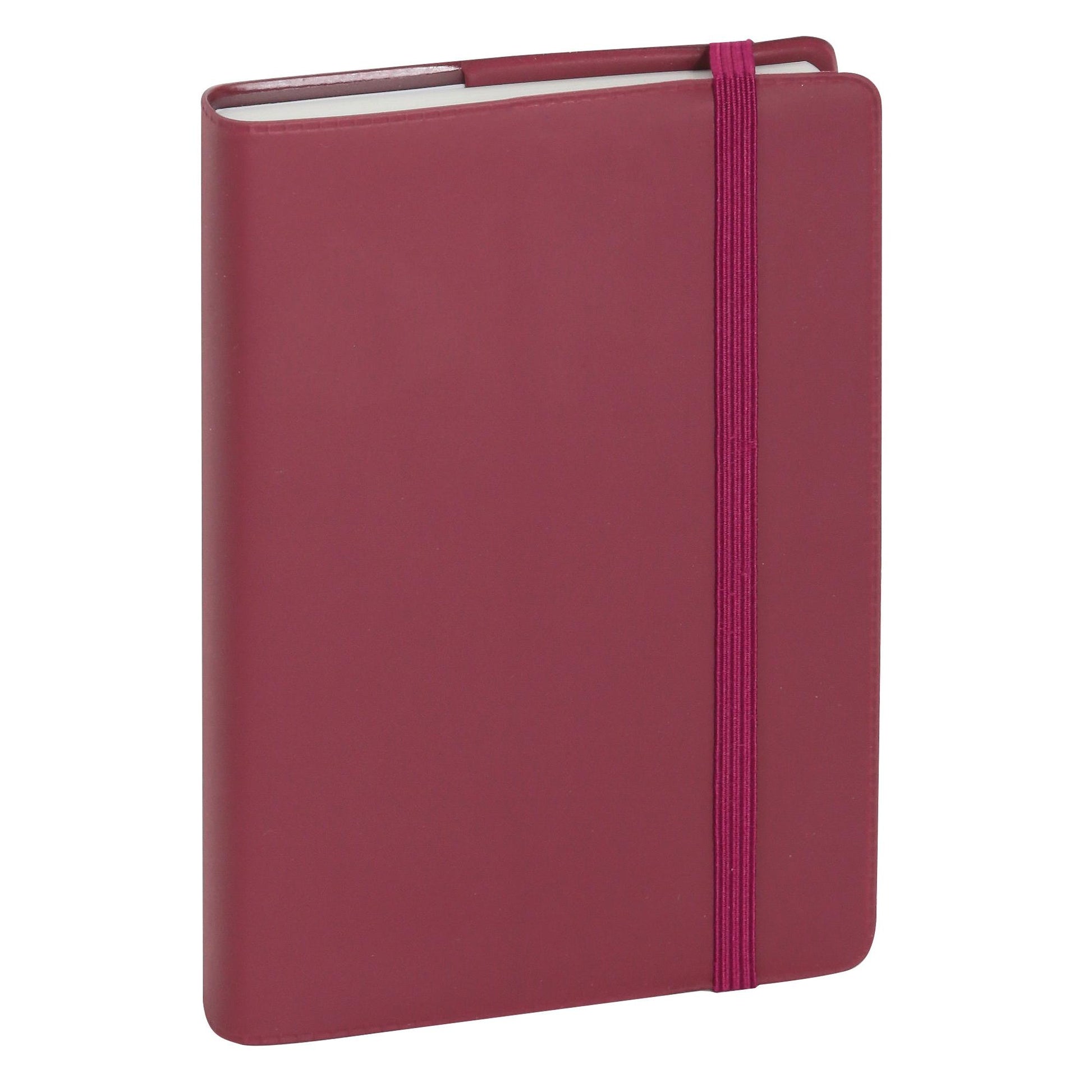 EXA Agenda Journalier Quadrillé 85x130-Agenda-Exacompta-Papeterie du Dôme