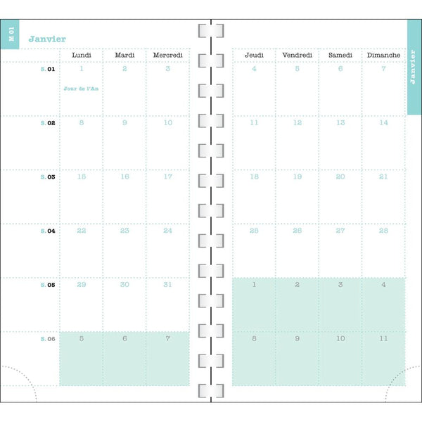 EXA Agenda SAS Semainier Lady 16S Color Design-Agenda-Exacompta-Papeterie du Dôme