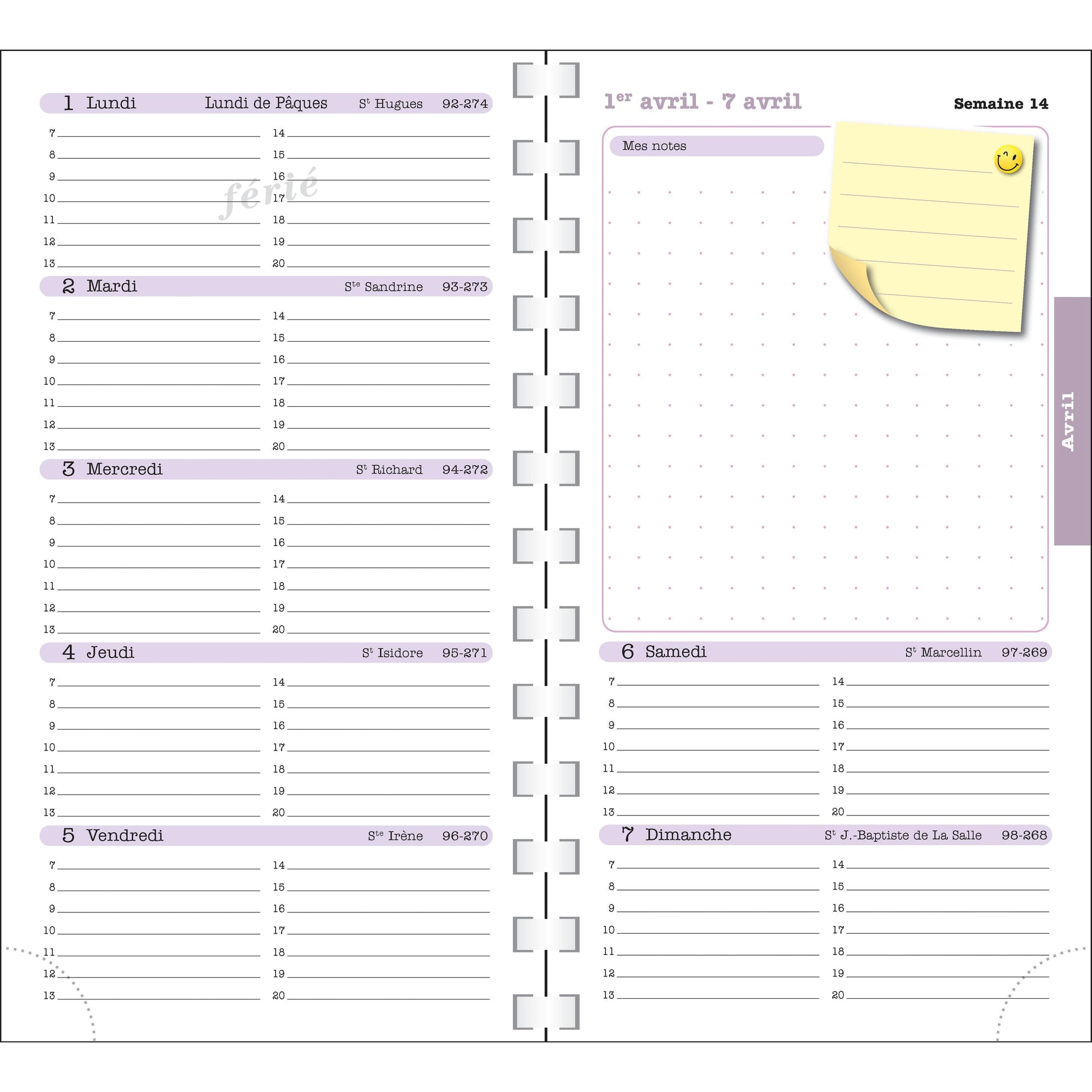 EXA Agenda SAS Semainier Lady 16S Color Design-Agenda-Exacompta-Papeterie du Dôme