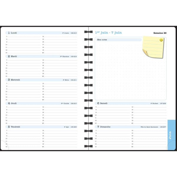 EXA Agenda Semainier Bureau Lady 20S Ariel-Agenda-Exacompta-Papeterie du Dôme