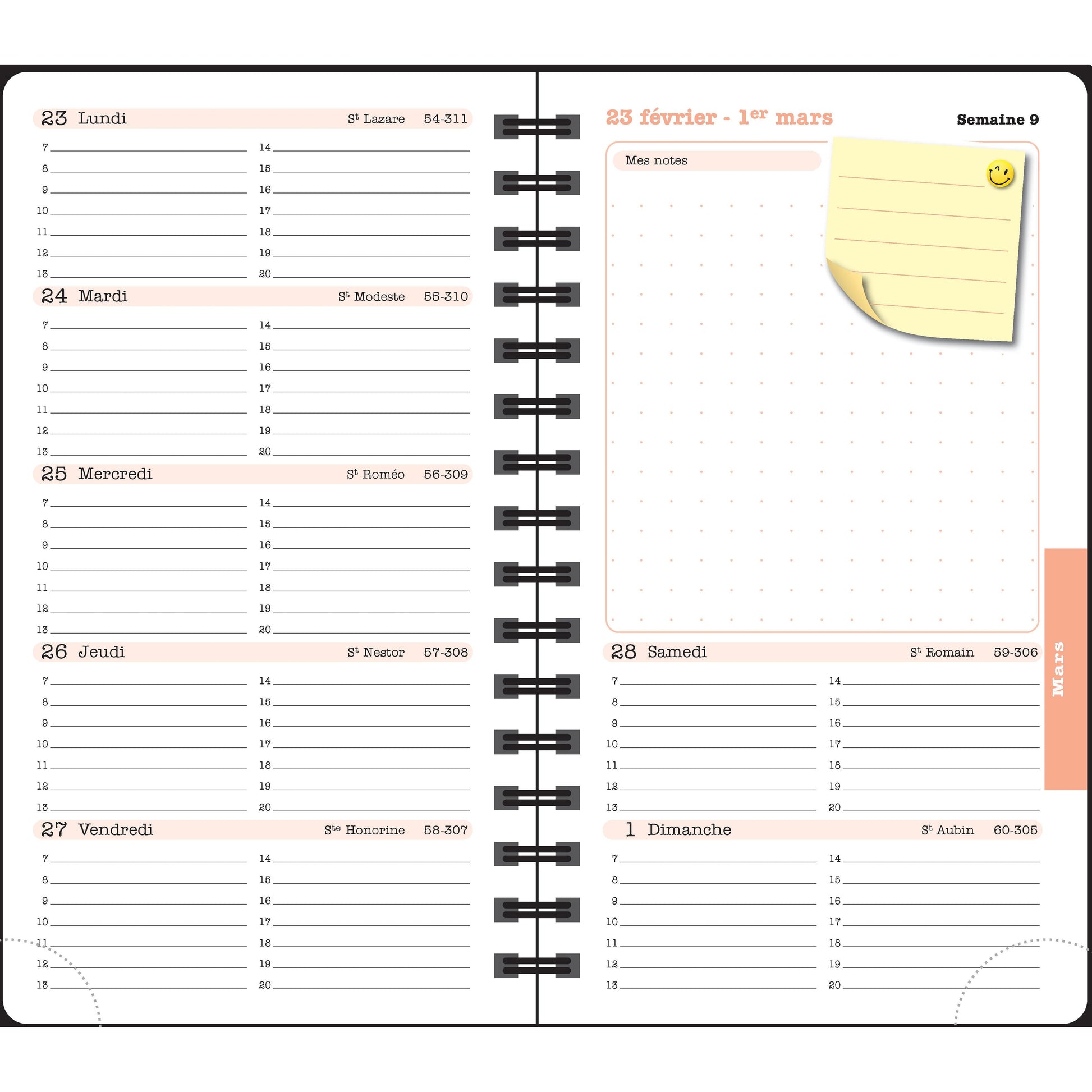 EXA Recharge Agenda Lady 16S-Recharge Agenda-Exacompta-Papeterie du Dôme