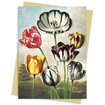 FLT Carte Double avec Enveloppe-Carterie-Flame Tree Publishing-Temple of Flora: Tulips-Papeterie du Dôme