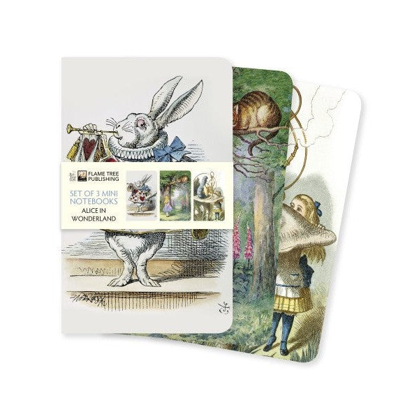FLT Set 3 Carnets A6-Carnet-Flame Tree Publishing-Alice in Wonderland-Blanc-Papeterie du Dôme