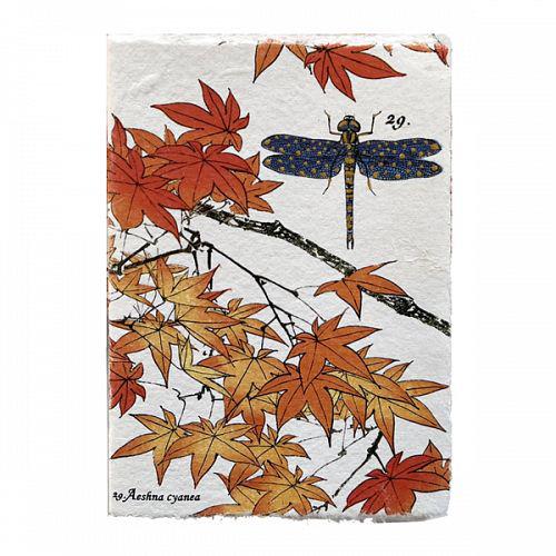 LML Carnet Liasse Trésor-Carnet-Lamali-Papeterie du Dôme