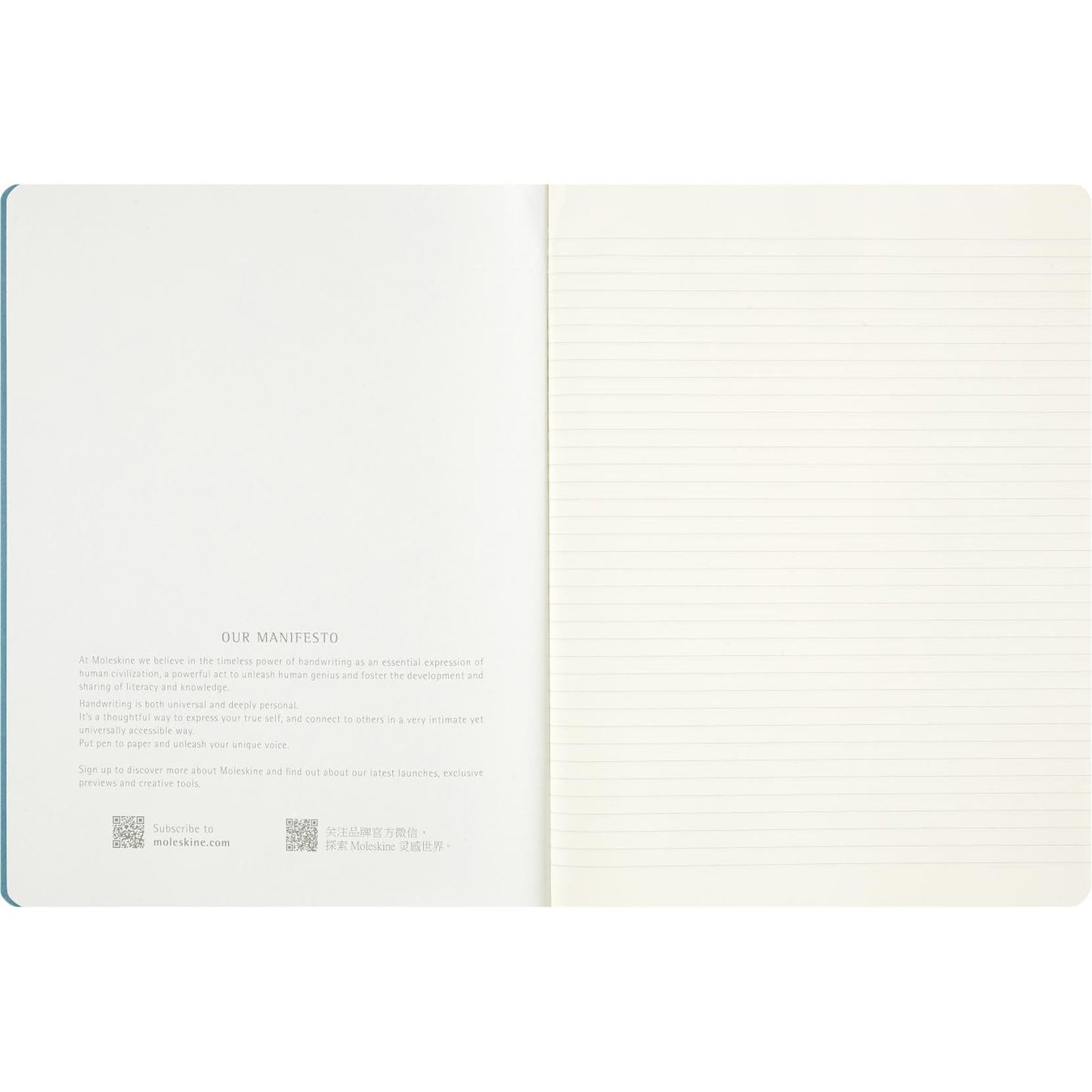 MSK 3 Cahiers Peanuts XL-Cahier-Moleskine-Papeterie du Dôme