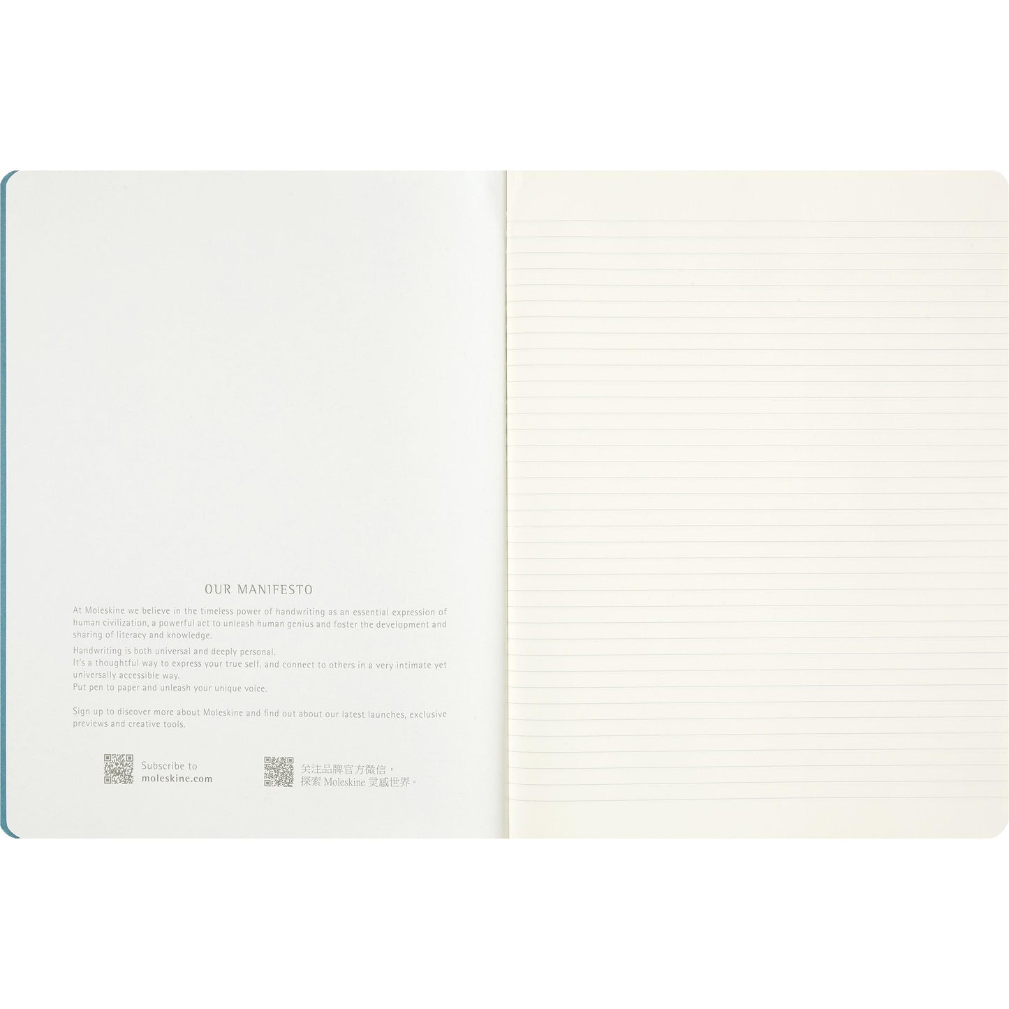 MSK Cahier Peanuts Linus Single-Cahier-Moleskine-Papeterie du Dôme