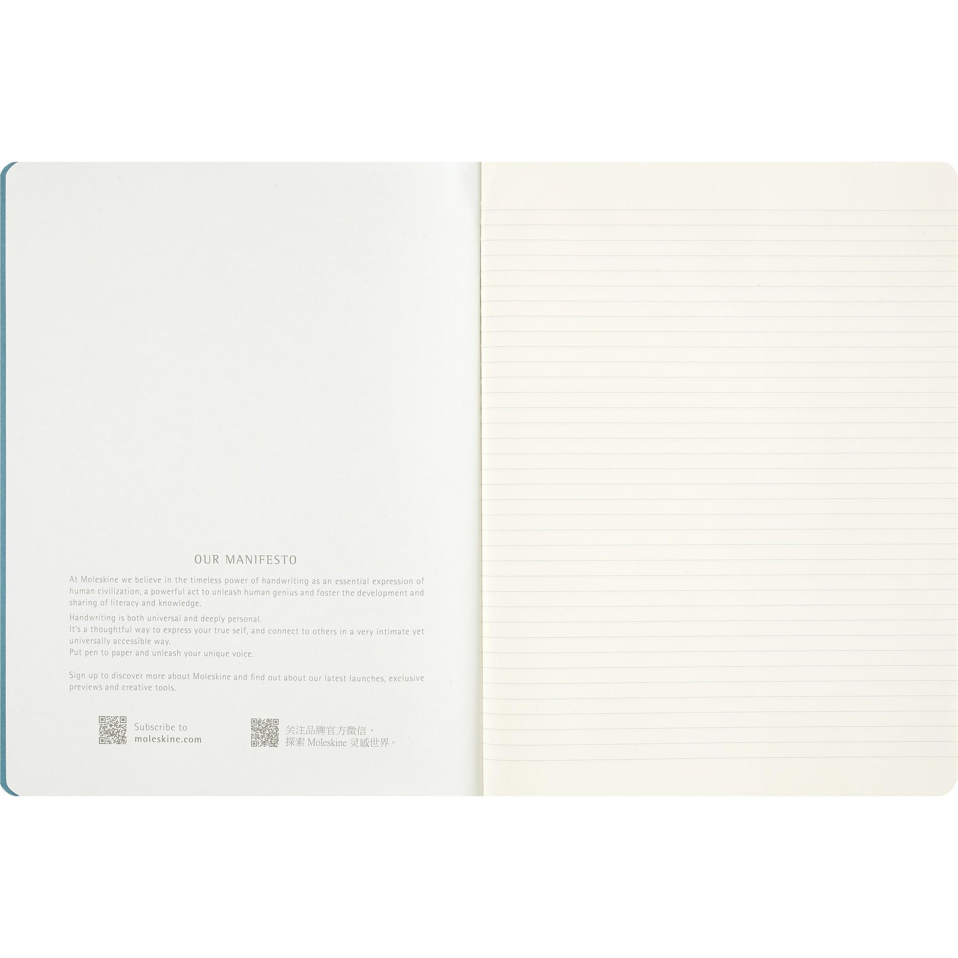 MSK Cahier Peanuts Linus Single-Cahier-Moleskine-Papeterie du Dôme