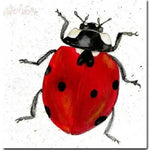 PAT Carte Sarah Boddy-Carterie-Patchwork-Coccinelle-Papeterie du Dôme