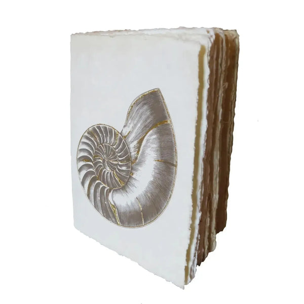 PGM Carnet A5 Nautile Parchemin-Carnet-Epigr'AM-Papeterie du Dôme