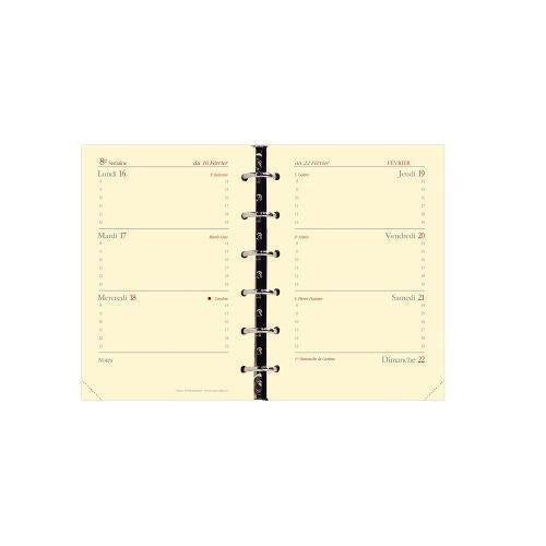 QVD Agenda Timer 14 Prestige Luna-Agenda-Quo Vadis-Papeterie du Dôme